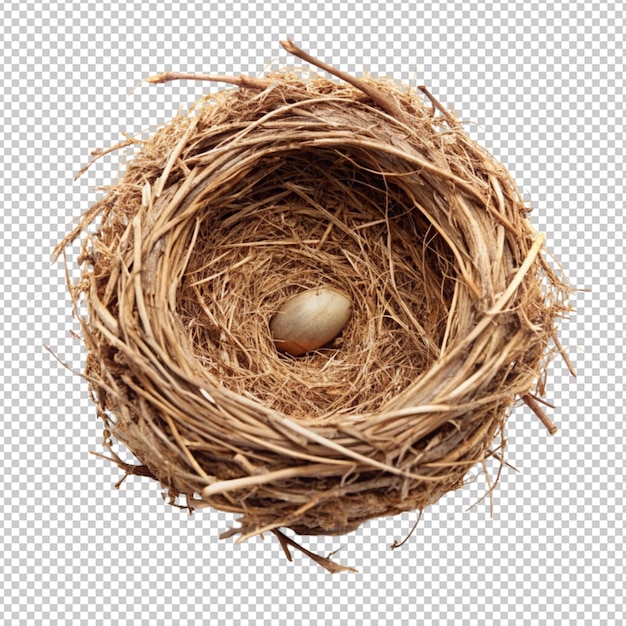 PSD birds nest isolated on transparent background