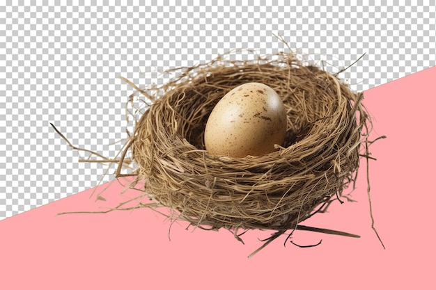 birds nest with cracked egg isolated object transparent background