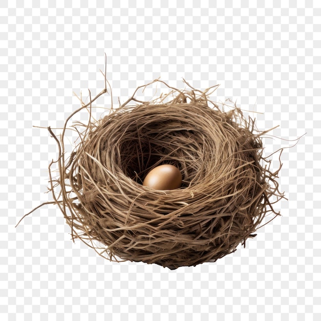 PSD birds nest with one egg on isolated background