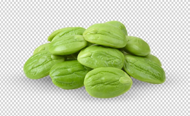 Bitter beans isolated on alpha layer