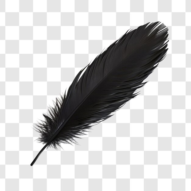 PSD black feather on white background render ultra realistic