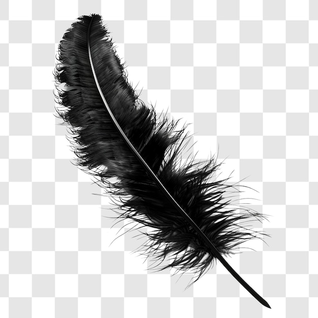 PSD black feather on white background render ultra realistic