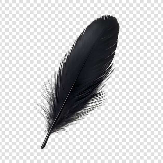 PSD a black feather on a white background