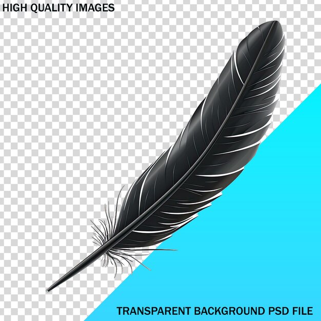 a black feather with a blue background that says high quality