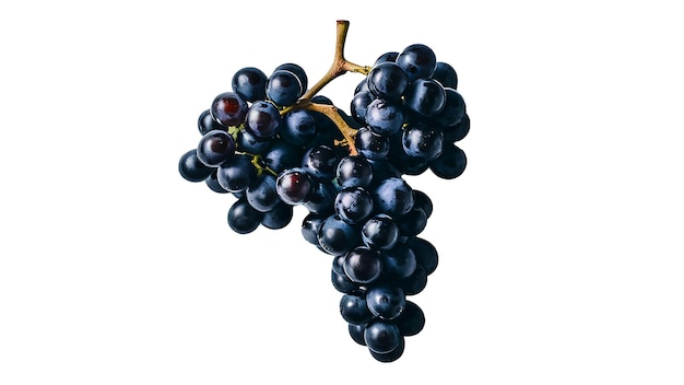 Black grapes isolated on a transparent background