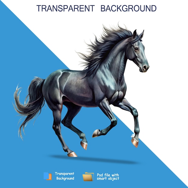 black horse png transparent background