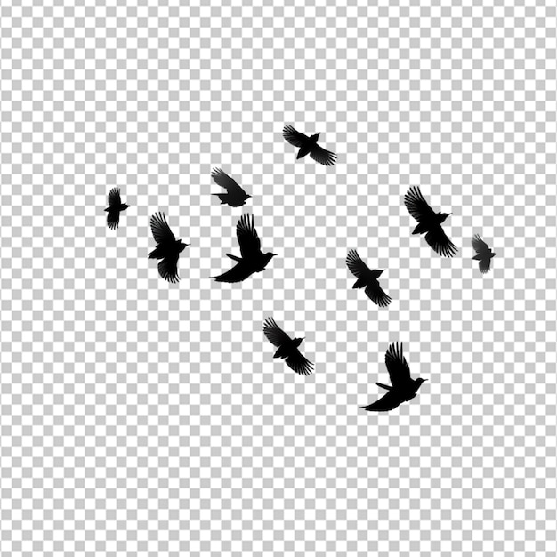 black silhouette flock of birds backlit Isolate on white background