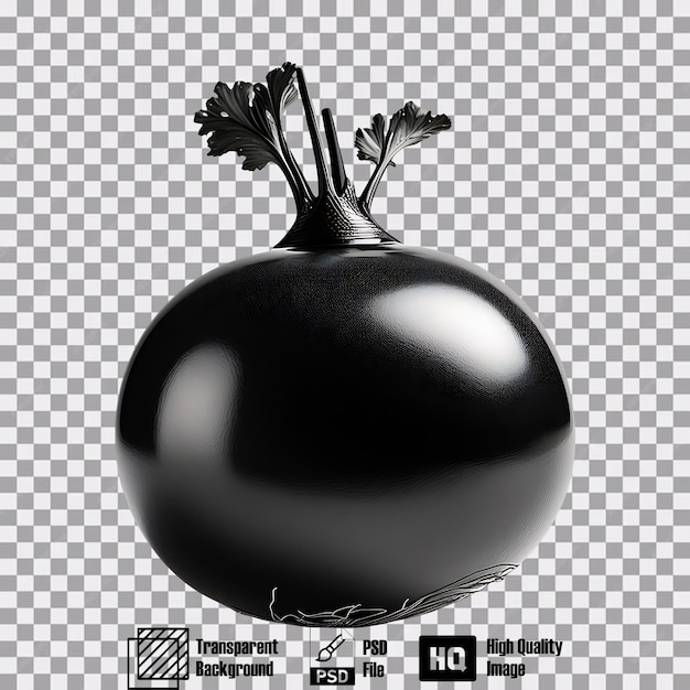 Black Turnip on transparent background 1