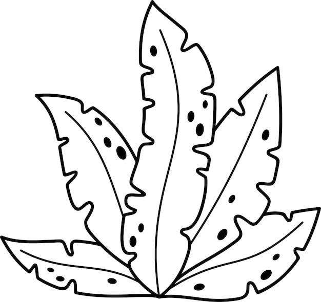 PSD a black and white drawing of a plant with leaves that have the word quot tulip quot on it