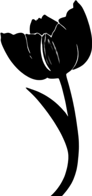 PSD a black and white image of a flower and a black arrow