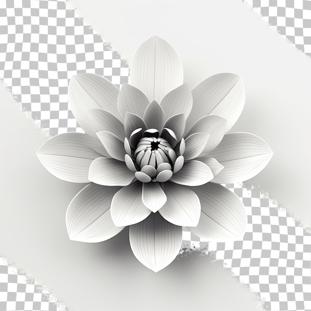 Black and white lotus flower isolated on transparent background File includes clipping path for ease of use