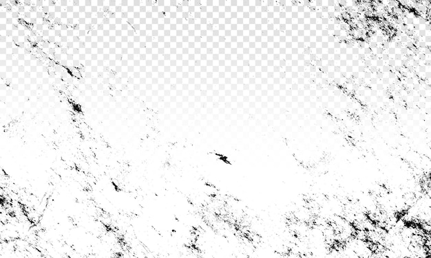 PSD a black and white photo of a white and black bird flying on a white background