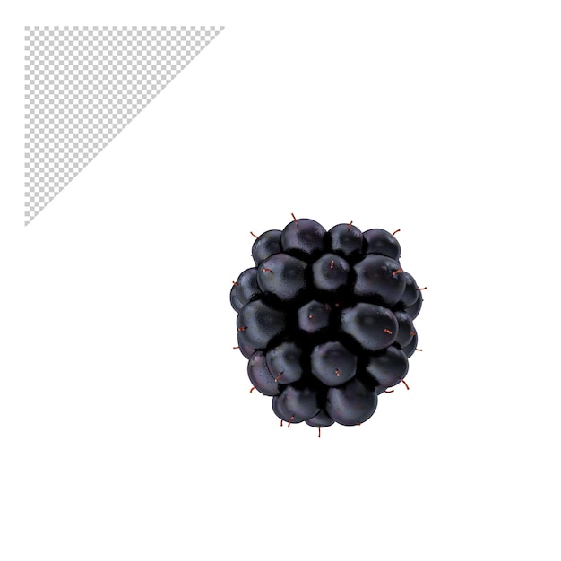 Blackberry PNG