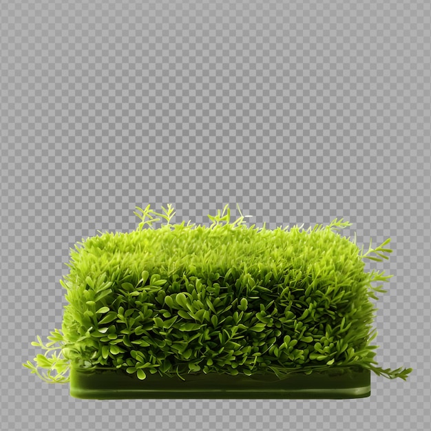 Blank display promotion isolated on transparent background grass pedestal cut out generative ai