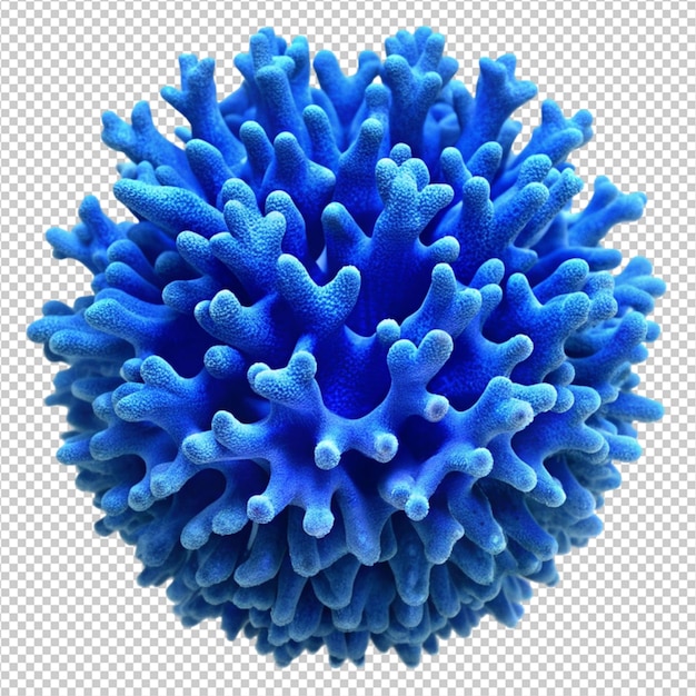 PSD blue coral on white background