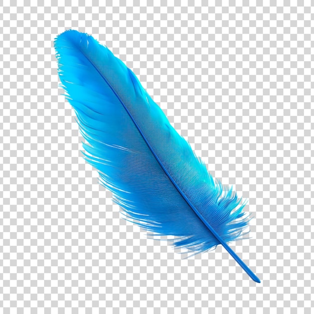 A blue feather on a white background