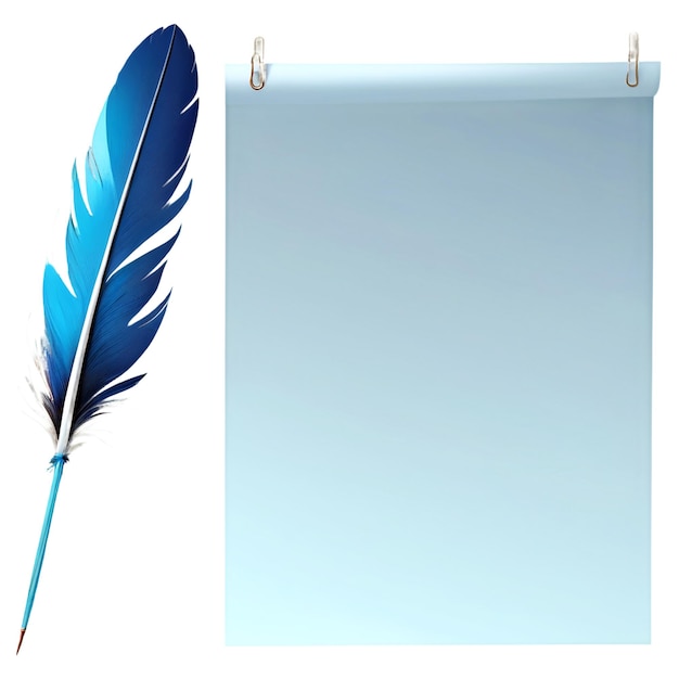 a blue feather with a white background and the word feather on the left