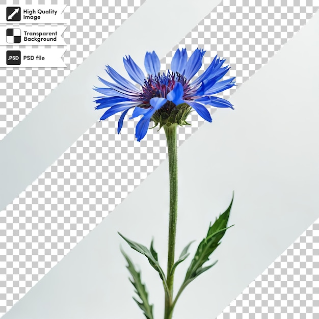 PSD a blue flower is shown with a picture of a flower on it