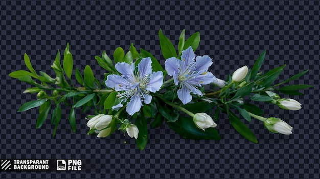 PSD a blue flower that says quot sprig quot on a black background