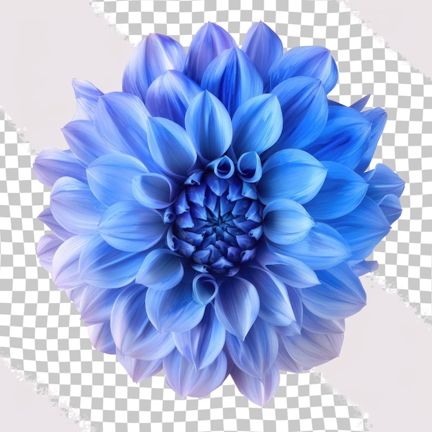 a blue flower with blue petals on it