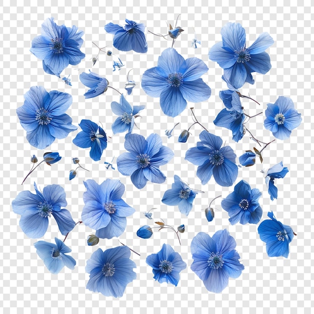 Blue Flowers Falling Down