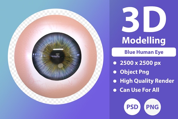 Blue human eye 3d modelling