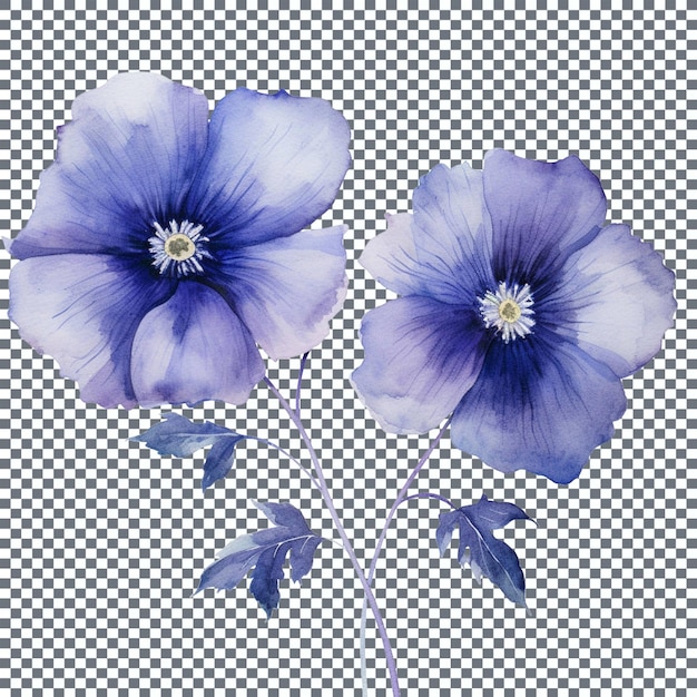 PSD blue iris flower