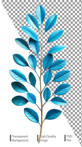 PSD blue leaf isolated on transparent background