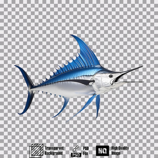 Blue Marlin on transparent background 5