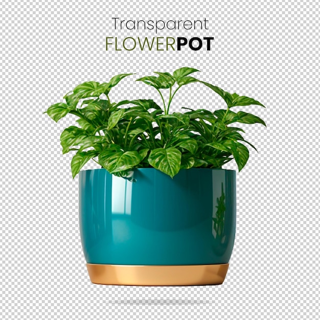 Blue Pot with Epipremnum Aureum Foliage Plant Isolated on Transparent Background