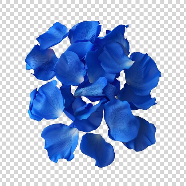 PSD blue rose petals on a transparent background