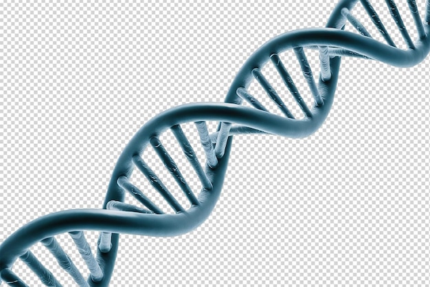 a blue scientific illustration of DNA on a transparent background