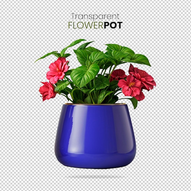 Blue Tub 3d Shiny Flowerpot with Epipremnum Aureum Leafly Plant on Transparent Background