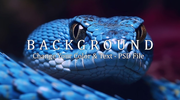 PSD blue viper snake