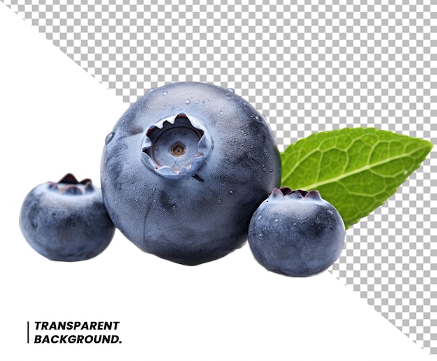 Blueberries isolated