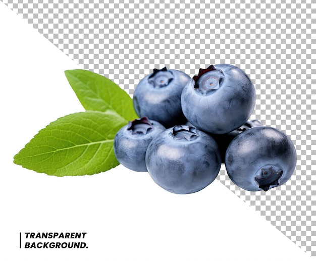 Blueberries isolated