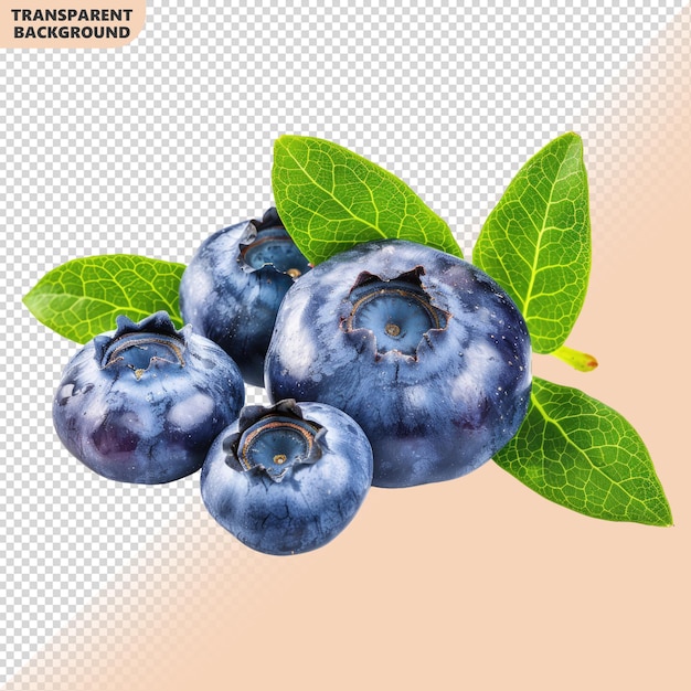 Blueberries with leaves on transparent background