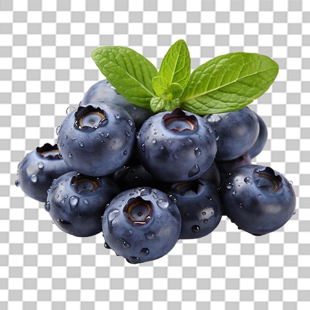 blueberry with transparent background