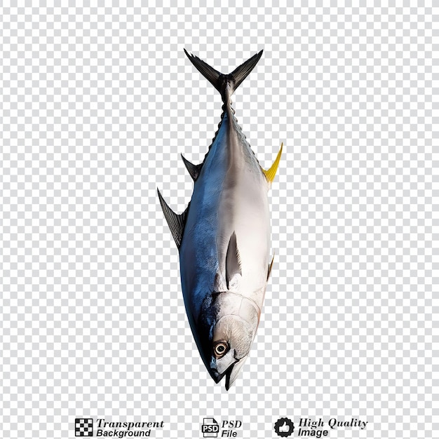 Bluefin tuna isolated on transparent background