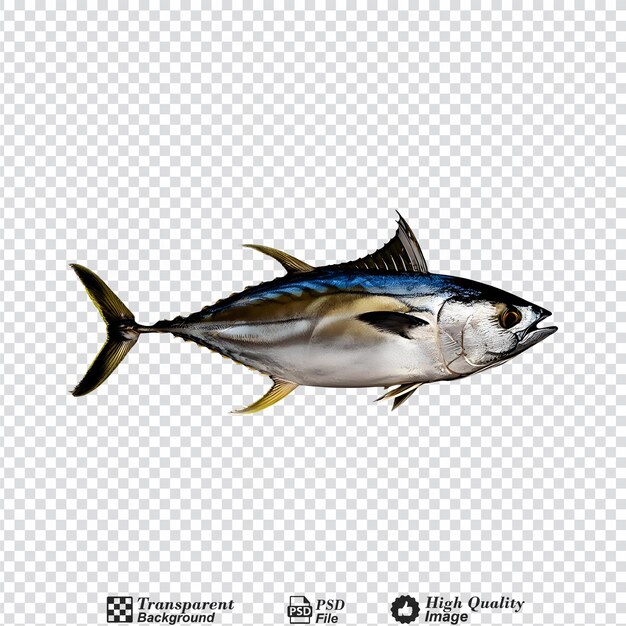 Bluefin tuna isolated on transparent background