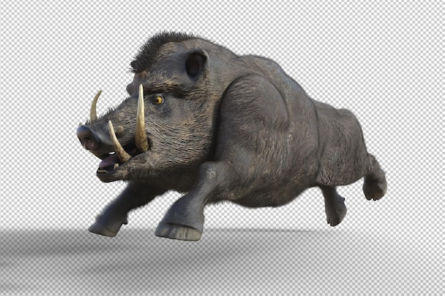 Boar isolated 3d render