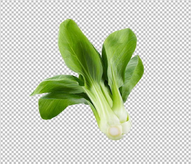 Bok choy vegetable isolated on alpha layer