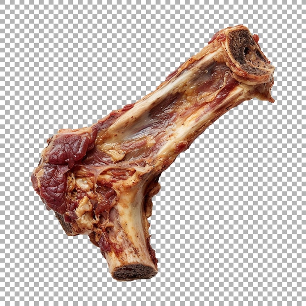 PSD bone with meat on transparent background ai generated