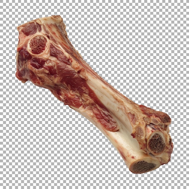 PSD bone with meat on transparent background ai generated