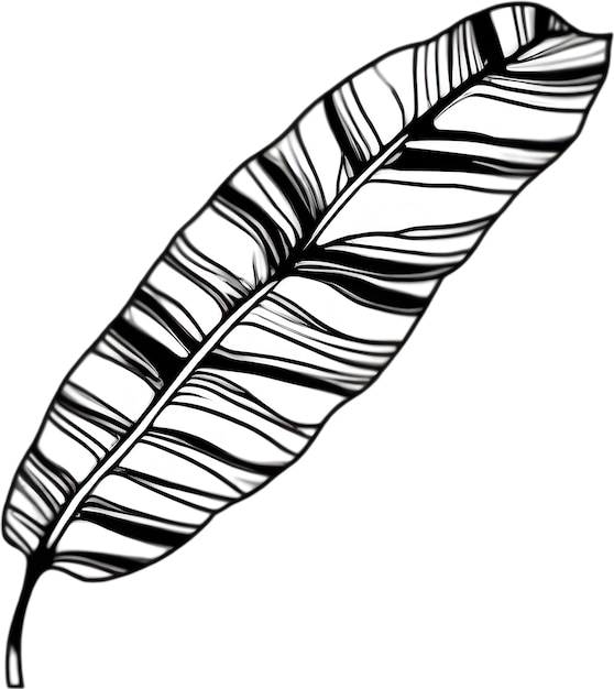 Botanical minimalist leaf Leaf Clipart