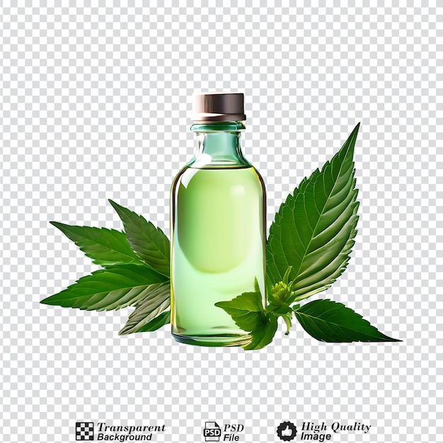 a bottle of essential oil with a green leaf next to it isolated on transparent background