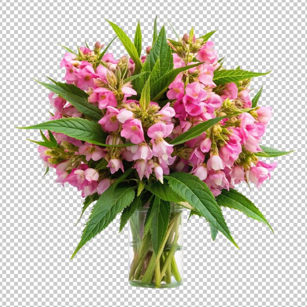 PSD bouquet of balsam flowers on transparent background