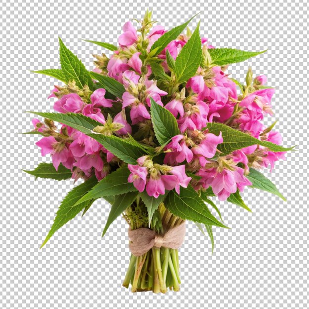 PSD bouquet of balsam flowers on transparent background