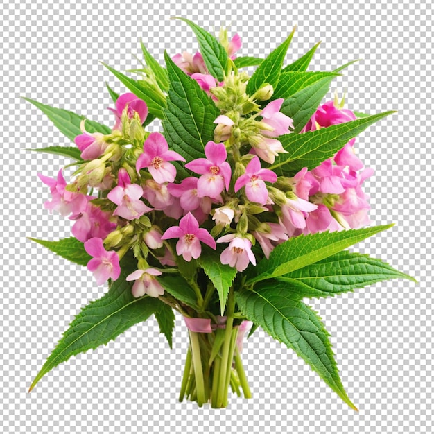 PSD bouquet of balsam flowers on transparent background