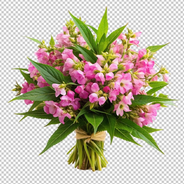 PSD bouquet of balsam flowers on transparent background